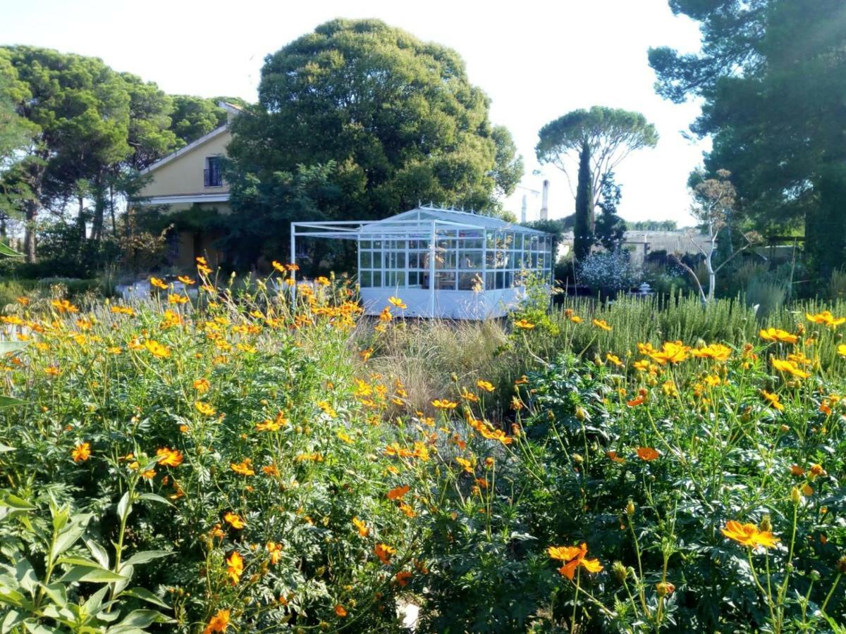 Giardino Della Moscatella Bed and Breakfast Altamura Exteriör bild